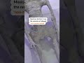 Doctors X-ray alleged non-human remains in Mexico - 00:25 min - News - Video