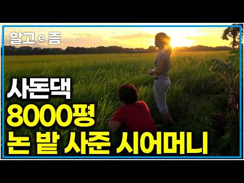 "이 정도면 마을 최고의 부자다" <strong>필리핀</strong> 며느리 위해 사돈댁에 아낌없는 지원해 준 츤대레 한국 시어머니｜다문화 고부열전｜알고e즘
