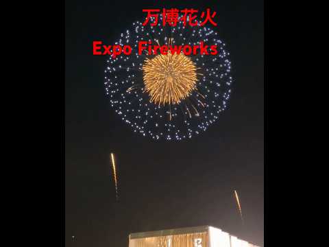 花火映像　万博　Expo #万博 #花火 #expo  #fireworks
