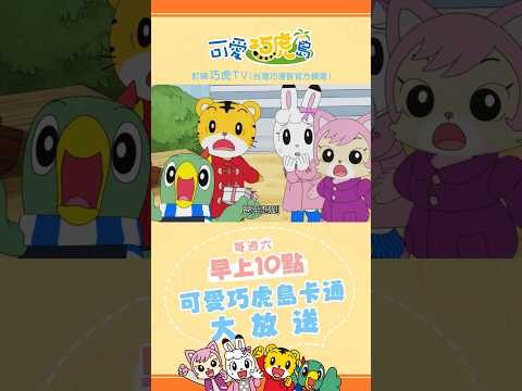 第12季【可愛巧虎島】你喜不喜歡情人節｜預告片 #卡通 #動畫 #幼兒 #育兒 #親子