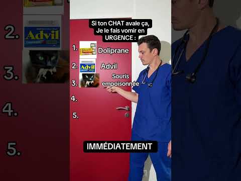 Quand je fais vomir ton chat #cat #chat #top