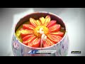 Pure Organic And Healthy Honey And Candles Made By Cherlapally Prisoners | V6 News  - 09:52 min - News - Video