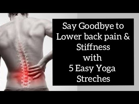 5 Easy Lower Back Yoga Stretches' for Lower Back Pain & Back Stiffness | Yoga Therapy for Back Pain