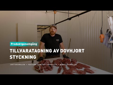 Tillvaratagning av dovhjort - Styckning
