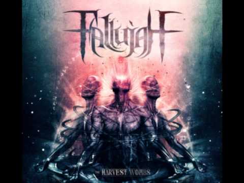 Fallujah - The Flame Surreal (The Harvest Wombs 2011)