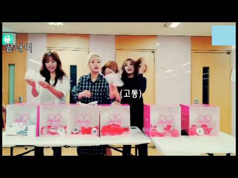 영원히 고통받는 에이핑크 리더