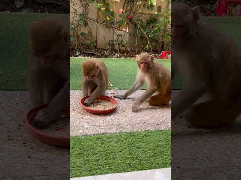 Don't disappoint anyone's hopes. #hope #shortsfeed