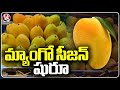Mango Season Starts In State | V6 News