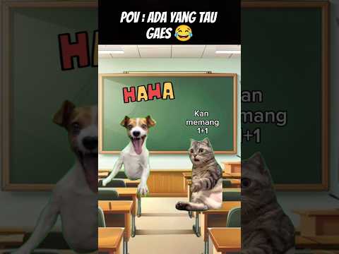 Pov : Ada yang Tau gues⁉️ #meme #cat #kucing #animation #funny