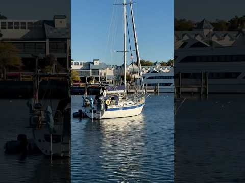 #ислам #субханаллах #flowers #аллоху