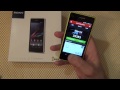 Sony Xperia Z1 Compact / Арстайл /