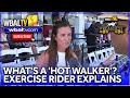 Exercise rider explains how horses are prepared