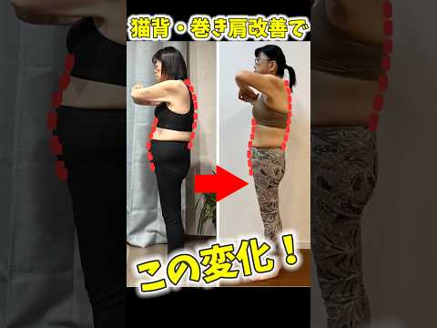 猫背が治ってお腹も凹む！姿勢改善法！