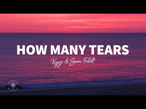 Kygo & Sam Feldt - How Many Tears (Lyrics) ft. Emily Warren