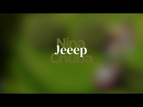Nina Chuba - Jeeep Lyrics