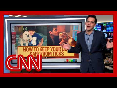 CNN's Harry Enten on how to keep your dog safe from ticks