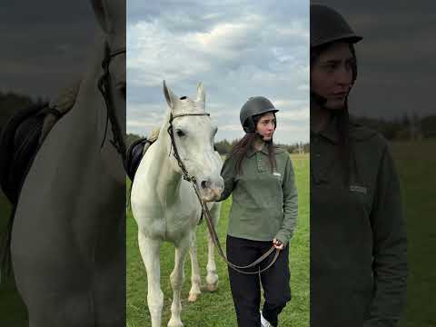 Для любого вида спорта найдется своё поло #mantis #брендыодежды #polo #horse #модныепоказы #tennis