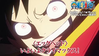 エッグヘッド編クライマックス！TVアニメ『ONE PIECE』毎週夜11時15分よりフジテレビ系全国ネットにて放送中