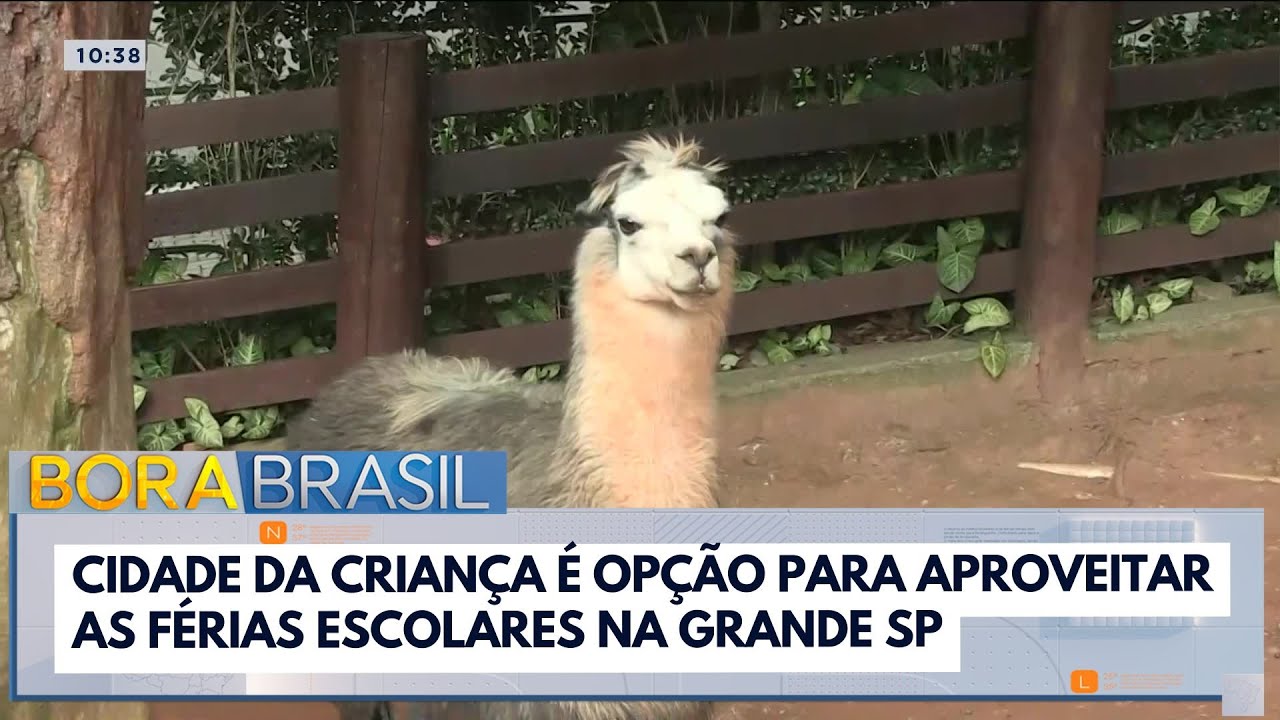 Cidade da Criança é opção para aproveitar as férias escolares na Grande SP