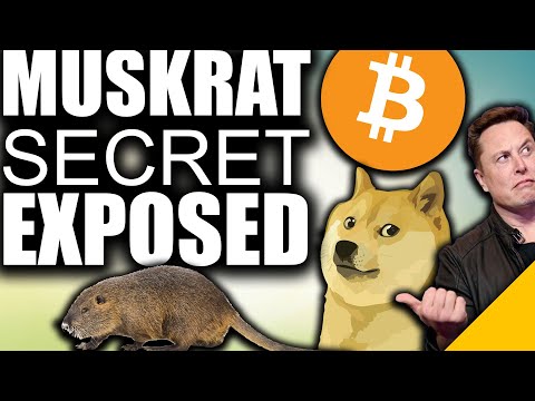 SECRET Crypto Plan EXPOSED (Elon Musk to DUMP Dogecoin for Bitcoin)