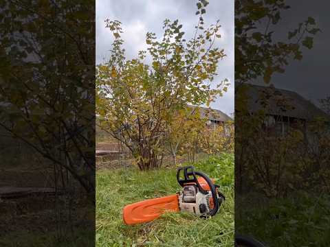 Холодний запуск STIHL - MS 180