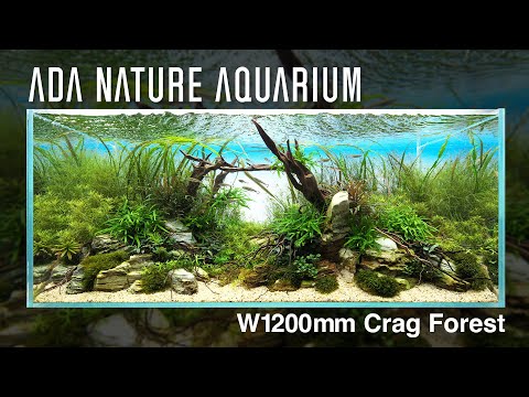 [ADAview] Crag Forest／岩律の森  - W1200mm Nature Aquarium Layout-【EN/JP Sub.】