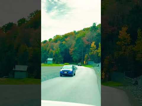 Enjoying the autumn view #travel #nature #pagrandcanyon #roadtrip #getaway #travelvlog  #shorts