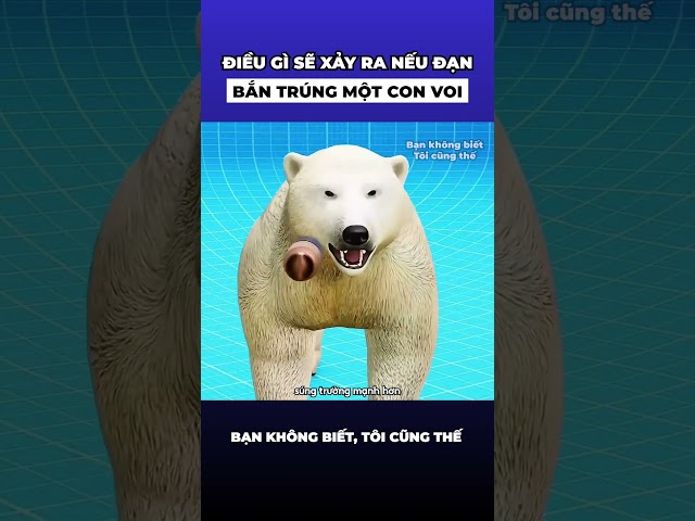 Điều gì sẽ xảy ra nếu bạn bắn trúng một con voi