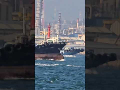 Mipo's daily life - 109