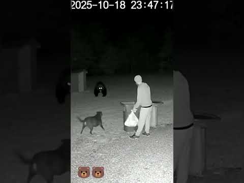 So terrifying! Watch moment a bear attack man at night but was saved by his dog