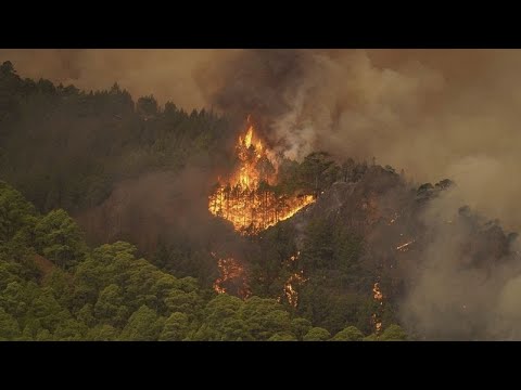 Ακραία καιρικά φαινόμενα στην Ευρώπη: «Καίγεται» η Τενερίφη- «πνίγεται» η Φρανκφούρτη