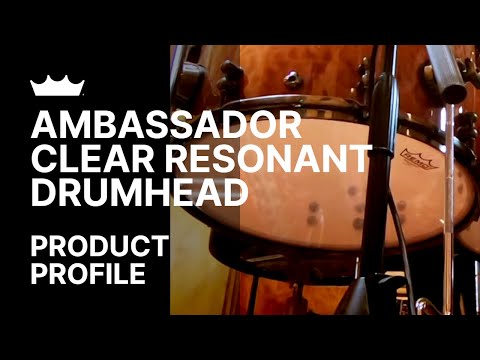 Remo: Ambassador Clear Resonant Drumhead