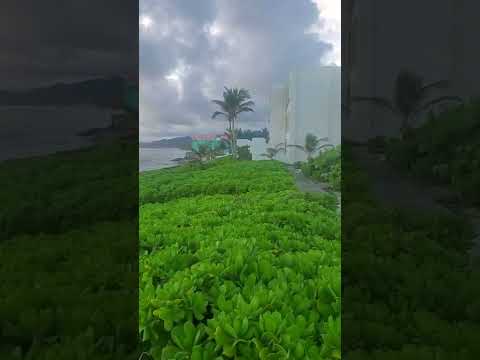 Vídeo da propriedade
