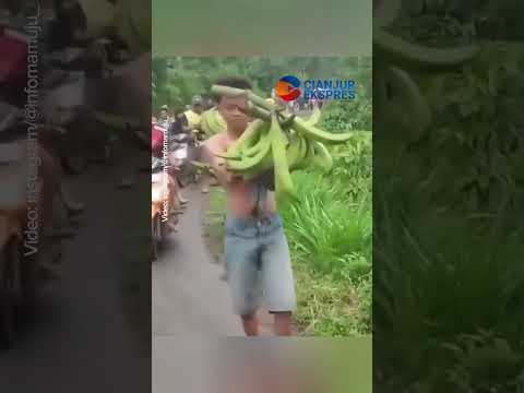 Sosok AAP Remaja di Pati Diarak Warga Setelah Ketahuan Mencuri Pisang untuk Adiknya #shorts