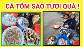 Đi Chợ Cá  Sịa  Buổi Sáng sớm , Ngạc Nhiên Nhiều Tôm Cá Tươi Ngon  |Trân Trân Huế thương