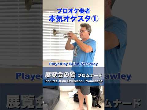 【プロオケ奏者オケスタ①】組曲「展覧会の絵」よりプロムナード / Pictures at an Exhibition: Promenade / Played by Brian Strawley