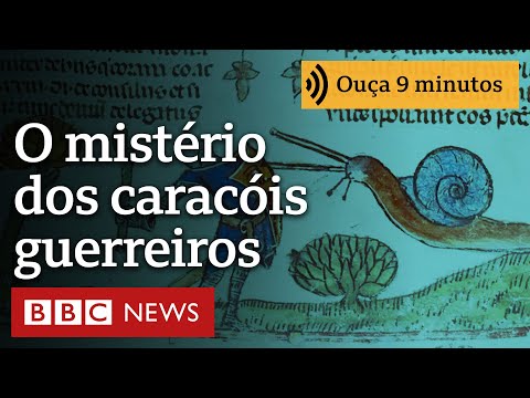 O mistério dos caracóis guerreiros da Idade Média