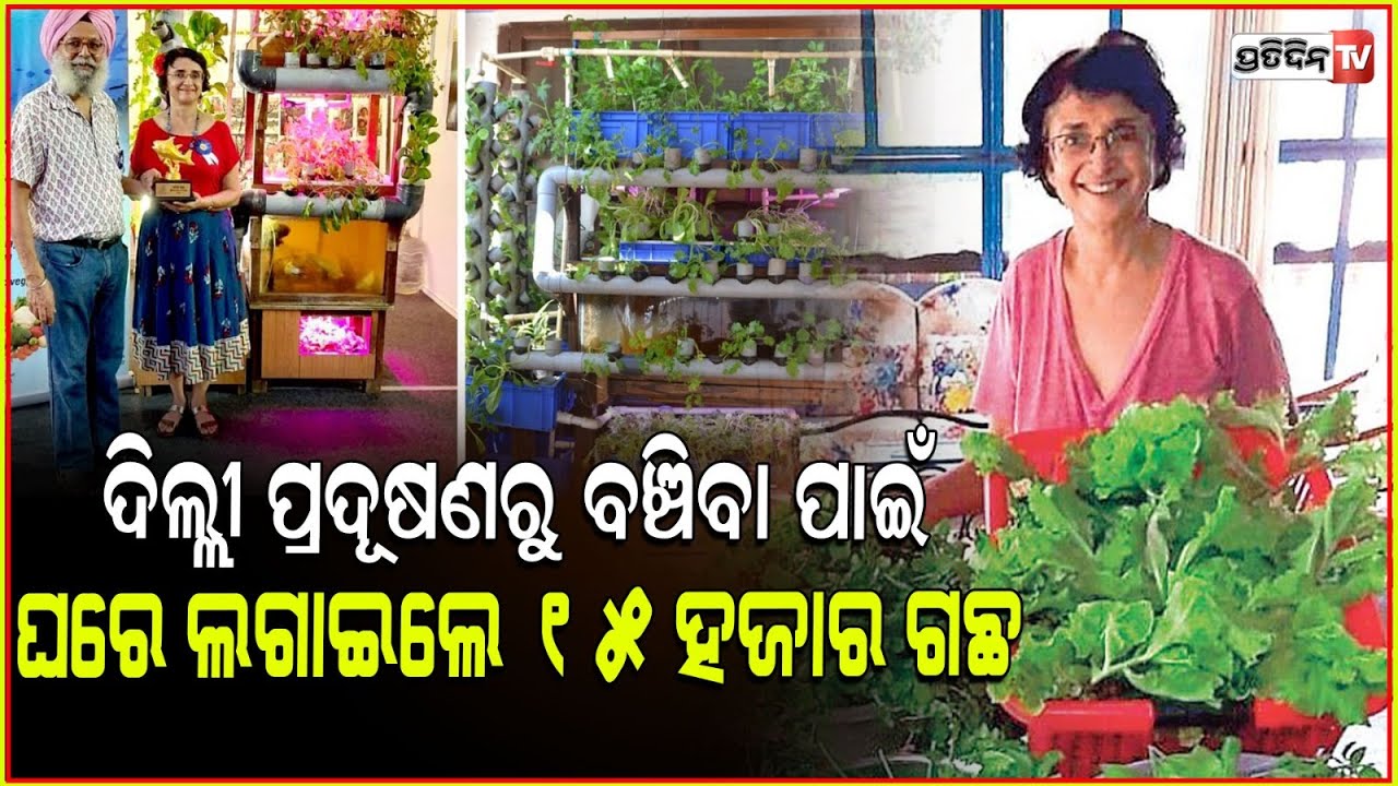ଦିଲ୍ଲୀରେ ପ୍ରଦୂଷଣ ମୁକ୍ତ ଜୀବନ ପାଇଁ ଘରେ ୧୫ ହଜାରରୁ ଅଧିକ ଗଛ ଲଗାଇ ଚର୍ଚ୍ଚାରେ ଦମ୍ପତ୍ତି l Unique Green Home