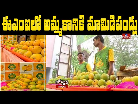Fruit vendor sells mangoes on EMIs in Pune