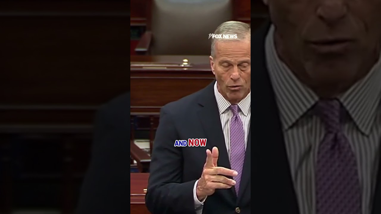 Dems need to stop playing politics with people's lives: John Thune #shorts #usa #new #news #us