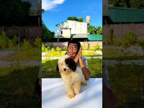 cat thief hahahha🤣🤣🤣#viral #funny #2025 #comedy #subscribe #pets #cat