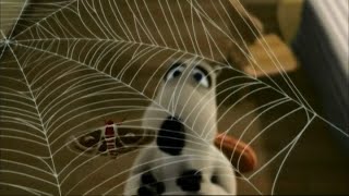 Bernard - Msorav kvetina