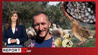 Vezët e shkurtëzave më sollën shërim dhe fitim, historia e Fatjonit nga Ishull-Lezha - NJË NGA NE