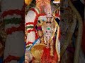 పిడికిట తలంబ్రాల పెండ్లి కూతురు #venkateshwaraswamysongs #srivenkateshwaraswamy #lordbalaji  - 00:59 min - News - Video