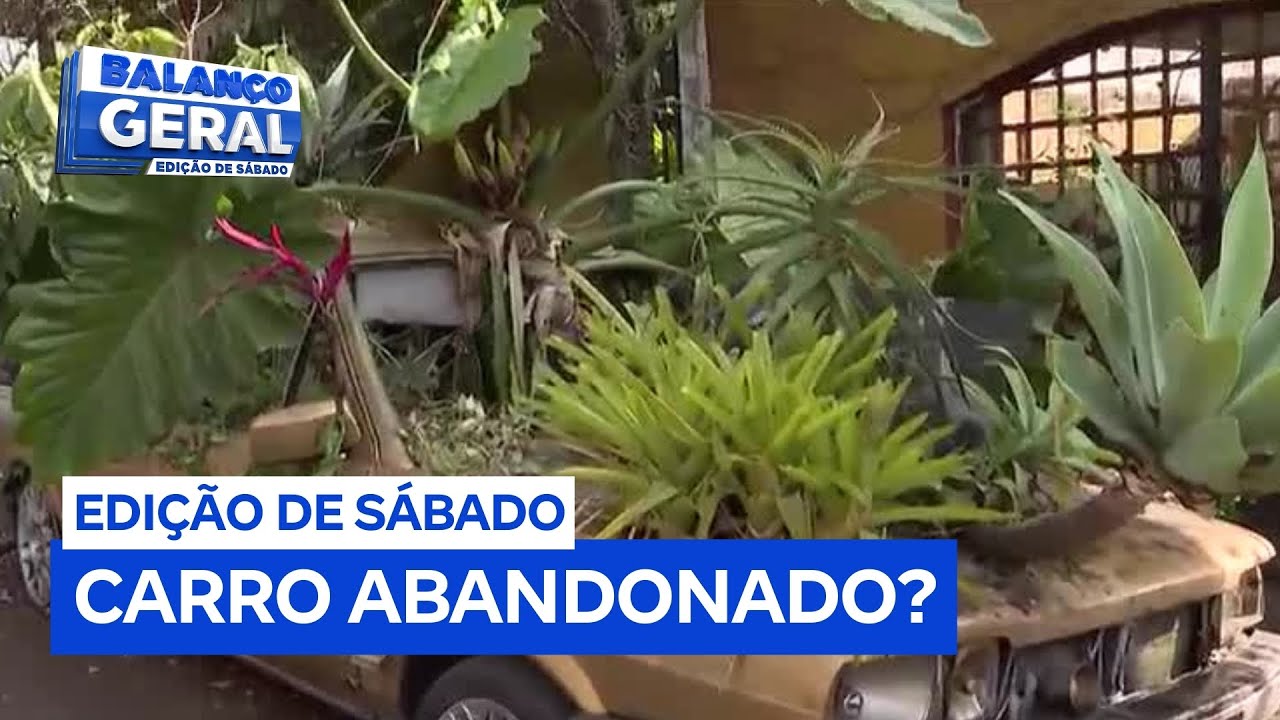 Carro planta veículo que conquistou moradores da zona oeste de SP pode ser tirado pela Prefeitura