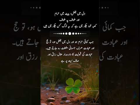 #quotes #poetry #motivation #aqwalezareen #4line #love #shorts