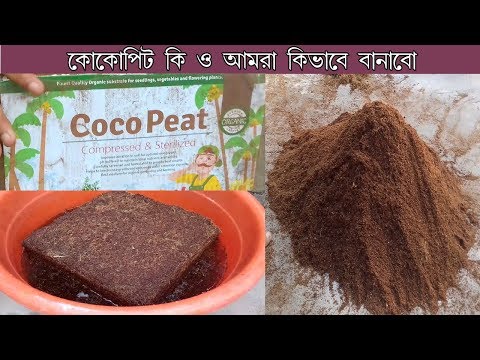 video Cocopeat Block-কোকো পিট