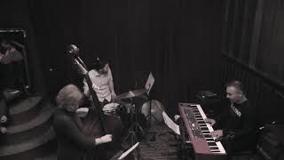 Shonai - The Shonai Collective compilation