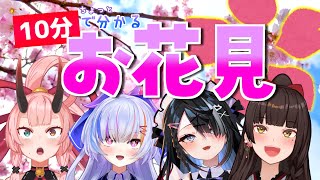 【切り抜き】10分ちょっとで分かるぶいせんのお花見