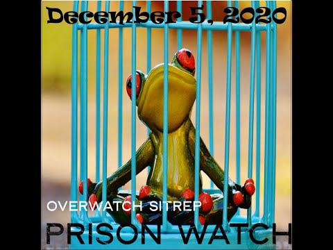 Monkey Werx Overwatch 12.5.20